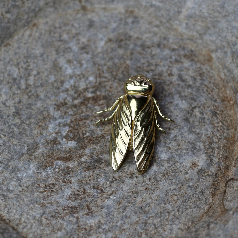 cicada brooch, pin, or pendant in gold