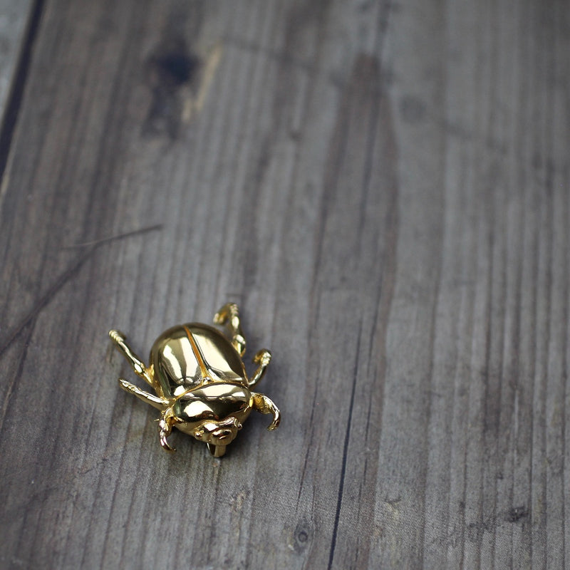 australian native christmas beetle brooch, pin, or pendant